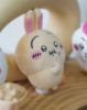 圖片 KTQ STORE 現貨 日本 Chiikawa 吉伊卡哇 嘟嘴手插腰表情包 五款