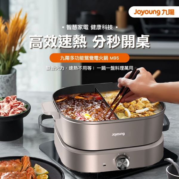 HPJYM95