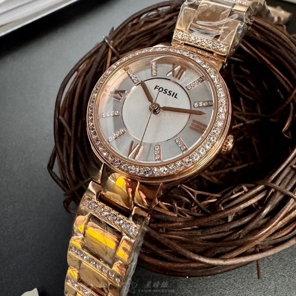 FOSSIL化石-FS00132-1.jpg