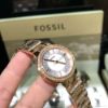 FOSSIL化石-FS00132-2.jpg