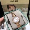 FOSSIL化石-FS00132-3.jpg