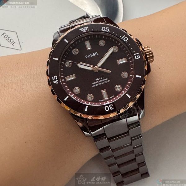 FOSSIL化石-FS00134-1.jpg