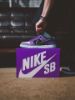 【Focus Store】Hayley Wilson x Nike SB Dunk Pro "Black and Court Purple" HJ0513-500		