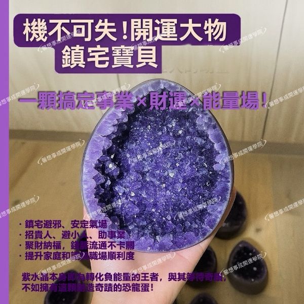 圖片 💜限量珍藏・紫水晶恐龍蛋🔮