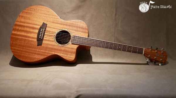 ColeClark SAN1EC-MMAH