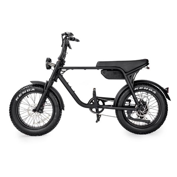 圖片 ZAU EB-500 潮流電輔車