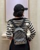 圖片 Dior 迪奥新款 Dior新款小號 TRAVEL  老花雙肩包32X24X10cm