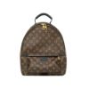 圖片 Louis Vuitton 展示品 Palm Springs MM 帆布手提後背包(M44874-咖)