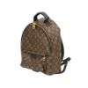 圖片 Louis Vuitton 展示品 Palm Springs MM 帆布手提後背包(M44874-咖)