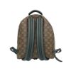 圖片 Louis Vuitton 展示品 Palm Springs MM 帆布手提後背包(M44874-咖)