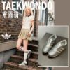 NICEDAY 現貨 Adidas Taekwondo Lace 復古 銀色 液態銀 銀灰 薄底 女鞋 JP8133
