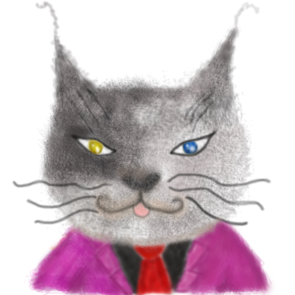 DUO天使塔羅占卜