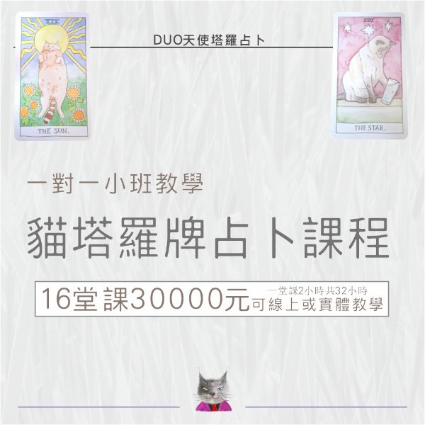 圖片 貓塔羅牌占卜課程一對一小班教學 可線上或實體教學16堂課30000元