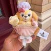 圖片 迪士尼 官方正版 達菲家族 迷你花束系列 毛絨鑰匙圈 吊飾 花束 7款(任買兩件711免運)/預購