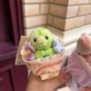 圖片 迪士尼 官方正版 達菲家族 迷你花束系列 毛絨鑰匙圈 吊飾 花束 7款(任買兩件711免運)/預購