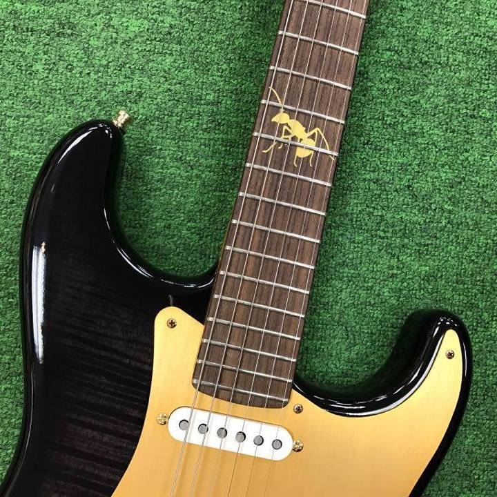 金螞蟻企業有限公司