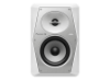 圖片 【Pioneer DJ】VM-50 5吋專業款主動式監聽喇叭-二色