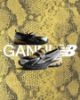 GANNI x New Balance 1906L Silver