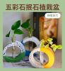 圖片 🍀團課-五彩石植栽盆/抿石植栽盆DIY(6位參考價)
