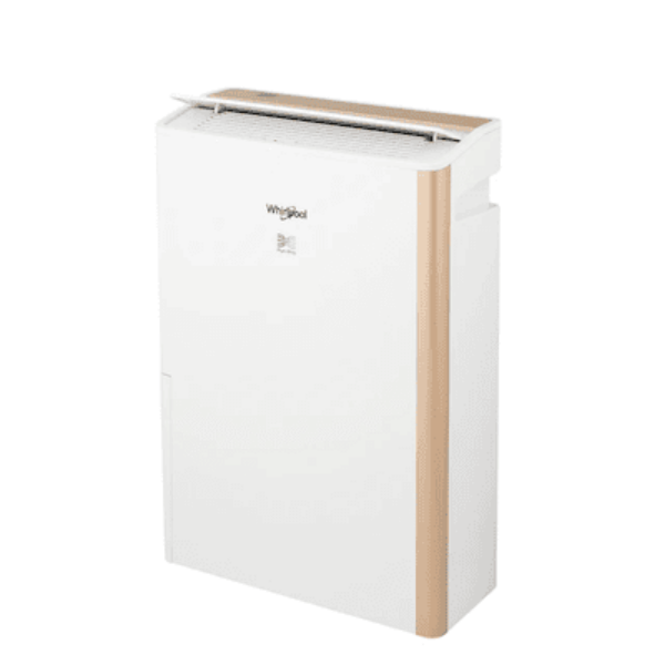 圖片 Whirlpool惠而浦一級能效12公升節能清淨除濕機DS242HCTW