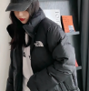圖片 THE NORTH FACE 北臉 鴨絨 立領 拉鏈 羽絨外套 男女同款