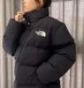 圖片 THE NORTH FACE 北臉 鴨絨 立領 拉鏈 羽絨外套 男女同款