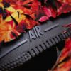 NICEDAY 代購 Nike Air Force 1 Multi Maple 楓葉 楓樹 秋天 落葉 青苔 撕撕樂 IM8062-368