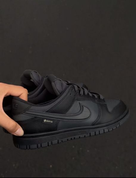 圖片 Nike Dunk Low Gore-Tex 全黑 黑武士 防水 立體勾 男款 HQ2053-001/預購