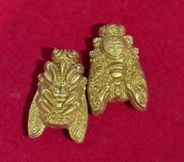 圖片 2152帕阿贊沙田金蒼蠅牌(單掛防水殼)