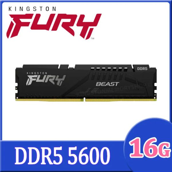 圖片 金士頓 單條16GB DDR5-5600(CL36) FURY Beast (獸獵者)