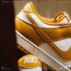 NICEDAY 現貨 Nike Dunk Low 橘黃 夕陽黃 黃 橘 復古 HD5441-109