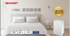 圖片 SHARP 夏普DW-CF6NT-W 除濕機 6公升 強效除濕機 一級能效