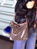 圖片 GOYARD  mini hobo