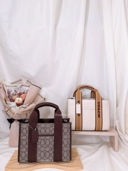 圖片 COACH 中款紙袋包 小托特 手提包 斜背包