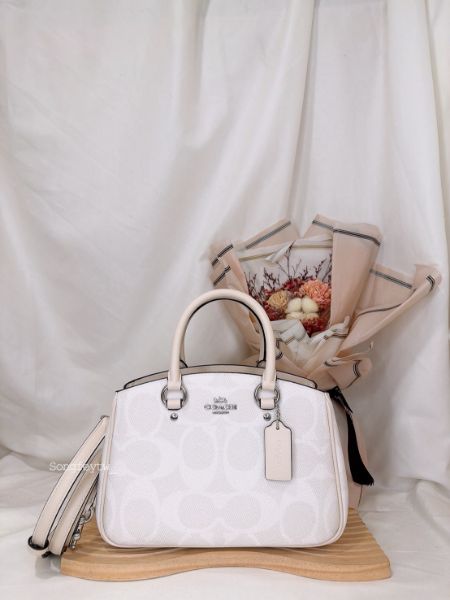 圖片  新款小黛妃包 手提斜背包