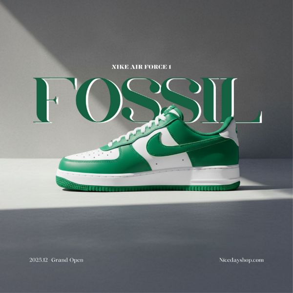 NICEDAY 代購 Nike Air Force 1 綠 森林綠 草綠色 淺綠 復古 FJ4146-122