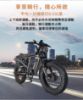 圖片 S63L全地形越野電動自行車
