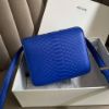 圖片 Celine絕版電光藍蟒蛇皮box