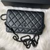 圖片 Chanel 23b so black woc
