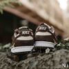 NICEDAY 代購 Nike Dunk Low 摩卡 金勾 可可 麂皮 小金勾 IO4244-102