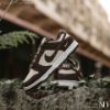NICEDAY 代購 Nike Dunk Low 摩卡 金勾 可可 麂皮 小金勾 IO4244-102