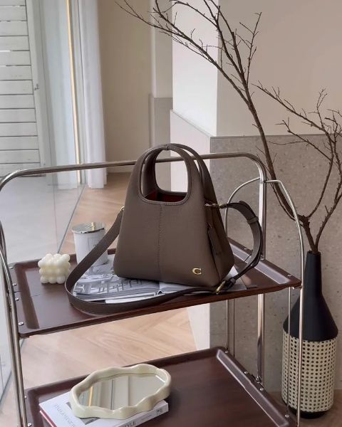 圖片 【COACH】LANA 23 菜籃子 大象灰