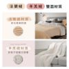 圖片 SAMPO 聲寶鋪蓋兩用雙人電熱毯 HY-HC12B