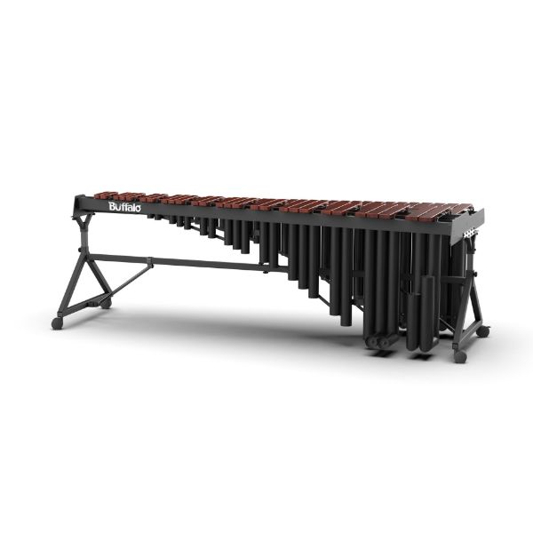 圖片 BUFFALO TENUTO系列 TX555PCF 5.5組音 66鍵 非洲紅木琴鍵 馬林巴木琴