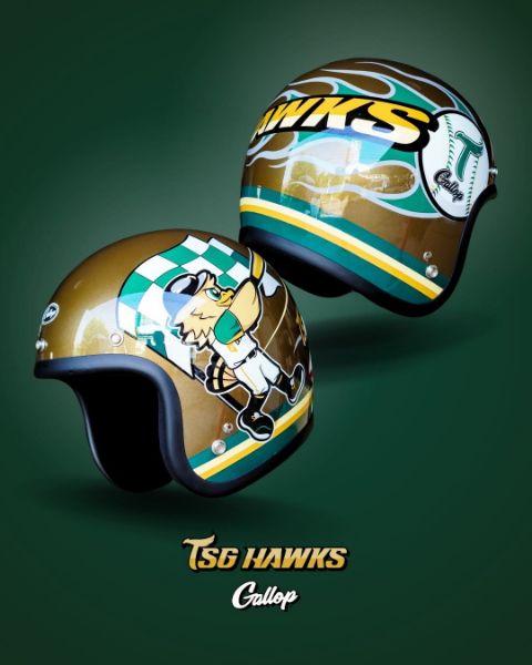 圖片 【台鋼雄鷹 X GALLOP🦅聯名3/4安全帽】