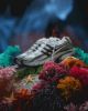 Pharrell Williams x Adidas Jellyfish Grey JP9265
