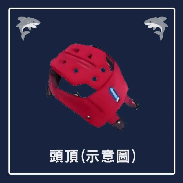 圖片 【台中硬了安全帽】SHARK RACE-R PRO 內襯 王冠 耳襯 新品 公司貨