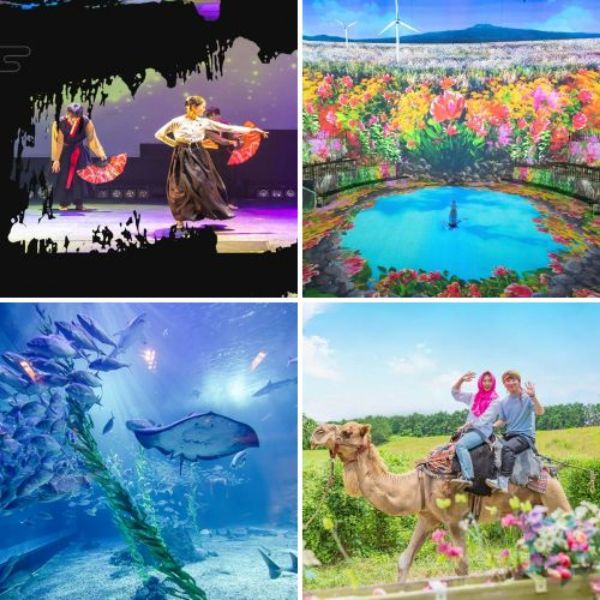 圖片 【韓觀社優秀商品│五星濟州神話五日】秘密森林、東邊松堂童話村、AQUA水族館+星光魔法秀、騎駱駝、阿里郎『魂』武藝秀