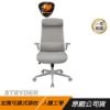 圖片 COUGAR 美洲獅STRYDER 高椅背 人體工學椅 可上掀扶手 (黑色/灰色/白色)