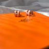 圖片 【全新品】HERMES 愛馬仕 MINI POP H 耳針
